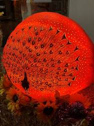 A large round orange and yellow object with a peacock design on it

AI-generated content may be incorrect.